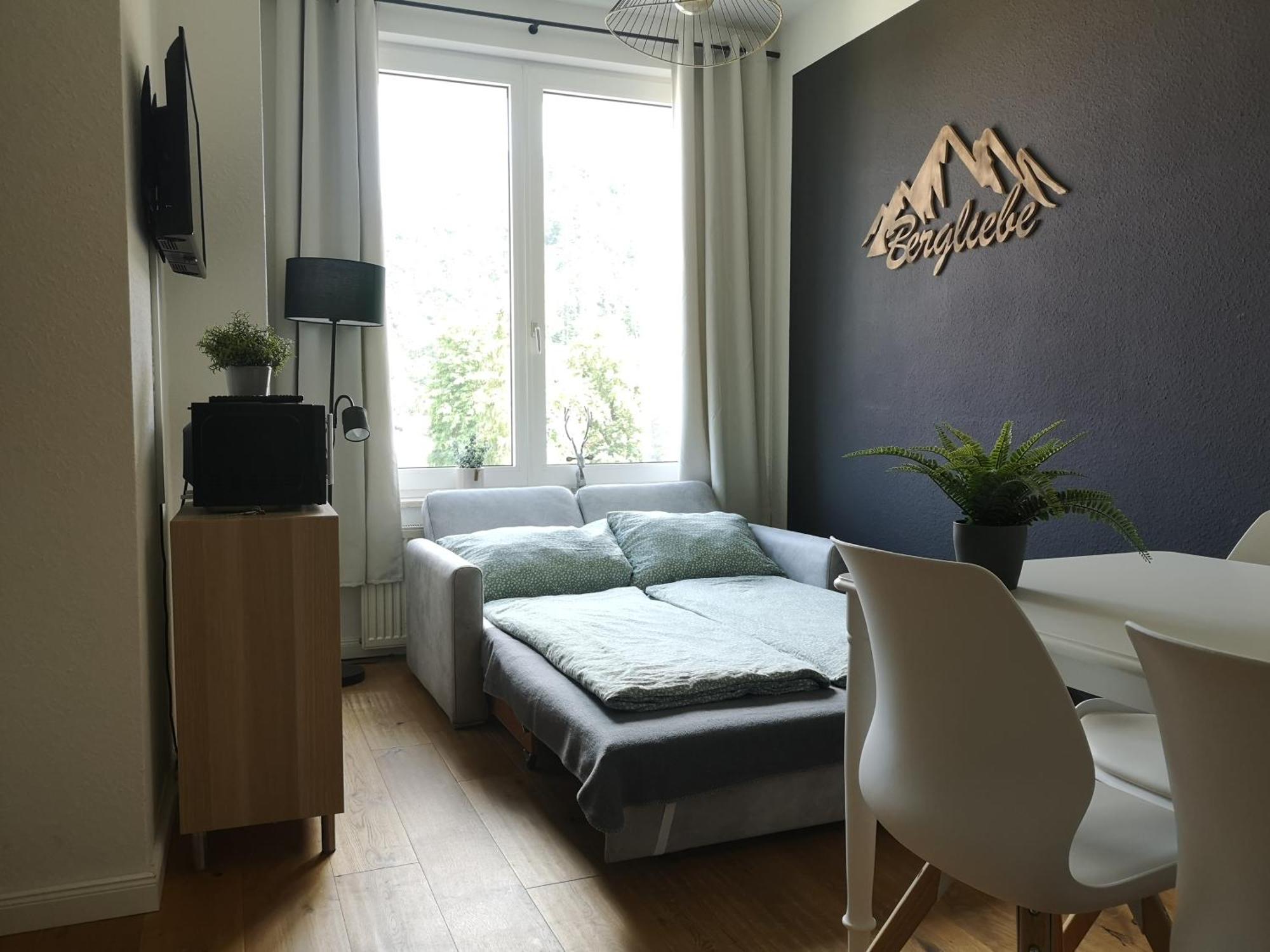 Appartement Bergliebe à Bad Harzburg Extérieur photo